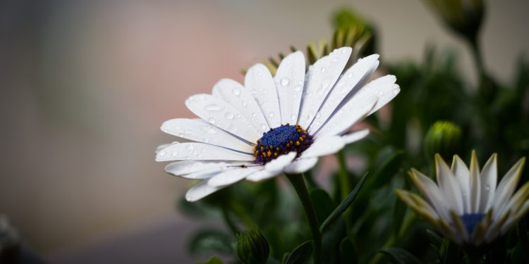 Makna surat Ibrahim ayat 35