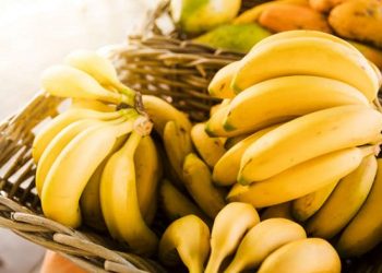 SAHABAT Muslim makanan dan minuman yang kamu konsumsi bisa menentukan kualitas tidur lho. Maka pilihlah asupan yang dapat meningkatkan melatonin dalam tubuh agar bisa tidur lebih baik dan nyenyak.