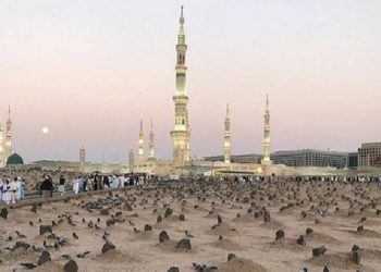 Sebelum Wafat Rasulullah Diberi Pilihan antara 2 Kehidupan