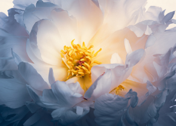 Menyikapi Keburukan Pasangan dengan Cinta dan Kebaikan