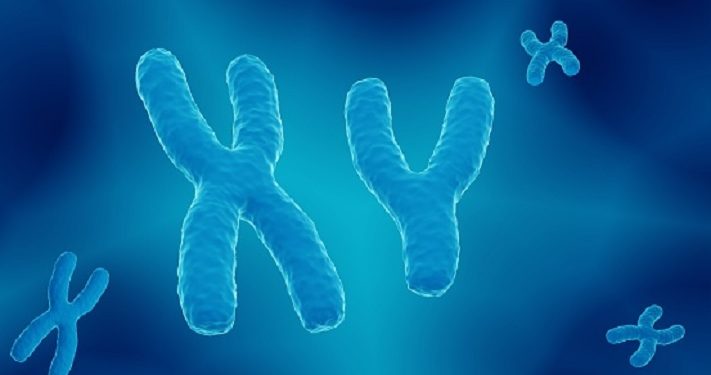 5 Sifat yang Diturunkan Orang Tua ke Anaknya