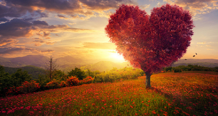 Meluruskan Tuduhan Buruk atas Pernikahan Rasulullah dengan Aisyah