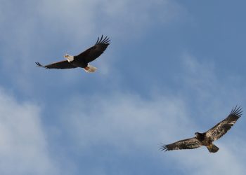 Obat Takut Itu Hadapi Kenyataan