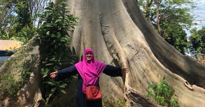 Belajar dari Pohon