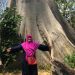Belajar dari Pohon