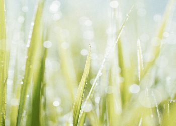 Mengapa umat islam diwajibkan berdakwah