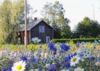 Untuk Para Ibu yang Anaknya Meninggal Tiba-tiba