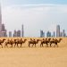 Tanda Dekatnya Hari Kiamat Sudah Tampak di Arab