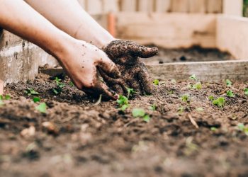 Berkeluarga Itu Ladang untuk Akhirat