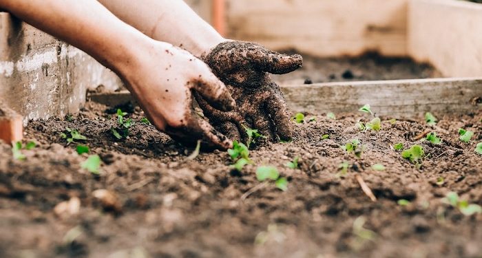 Berkeluarga Itu Ladang untuk Akhirat