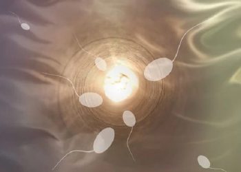 Hukum Inseminasi Buatan dari Sperma Suami yang Telah Meninggal Dunia