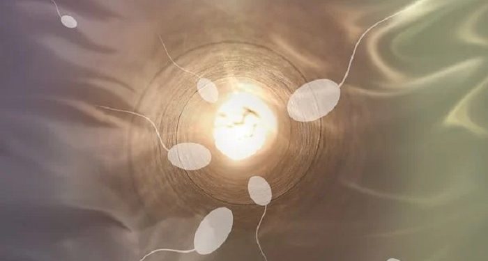 Hukum Inseminasi Buatan dari Sperma Suami yang Telah Meninggal Dunia