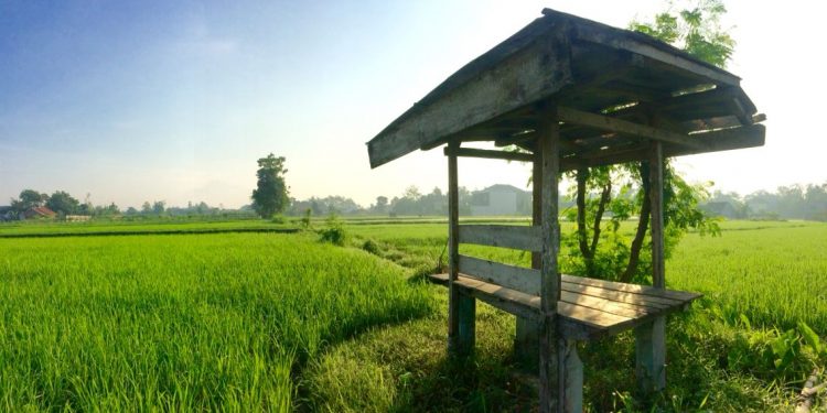 Bahagia Itu Relatif
