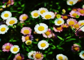 Orang Muslim yang celaka karena shalat