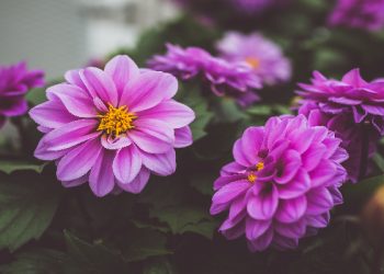 Bacaan doa kafaratul majelis yang bisa membersihkan dosa