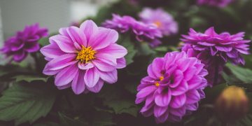 Bacaan doa kafaratul majelis yang bisa membersihkan dosa