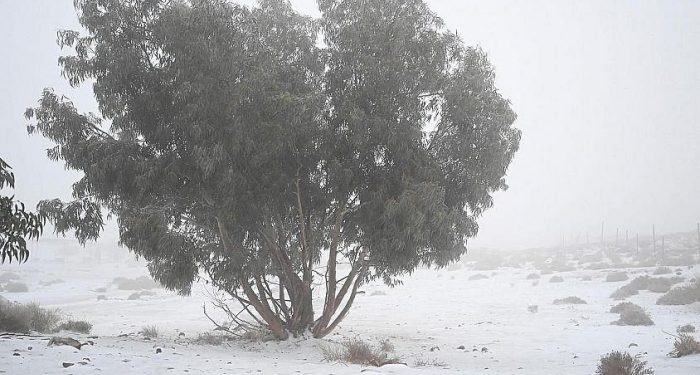 Indahnya Arab Saudi saat Tertutup Salju