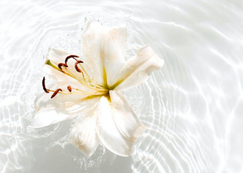 Pengaruh Kesabaran pada Kualitas Keluarga (Bag.2)