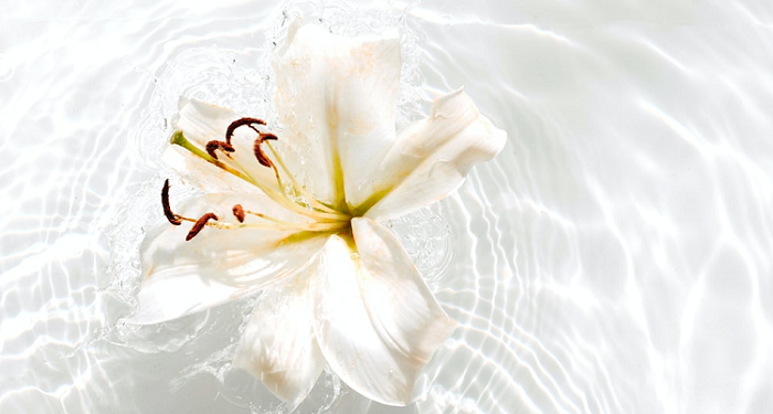 Pengaruh Kesabaran pada Kualitas Keluarga (Bag.2)