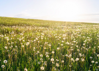 Benarkah Sakinah Itu Segalanya dalam Keluarga (Bag. 2)