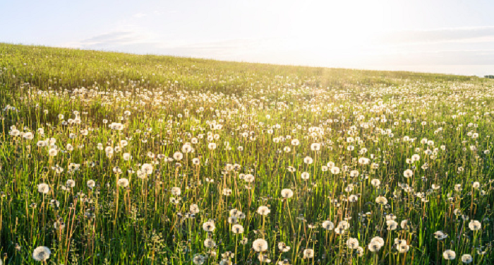 Benarkah Sakinah Itu Segalanya dalam Keluarga (Bag. 2)