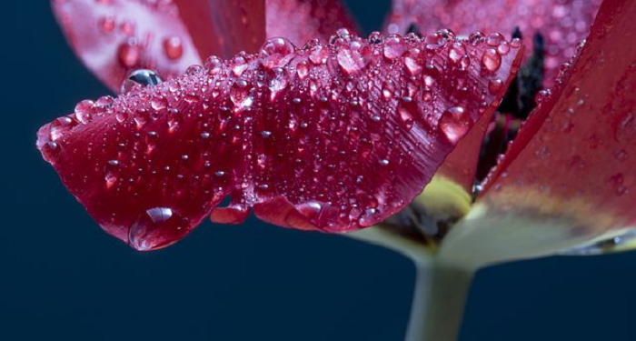 Persiapan Psikis Sebelum Menikah