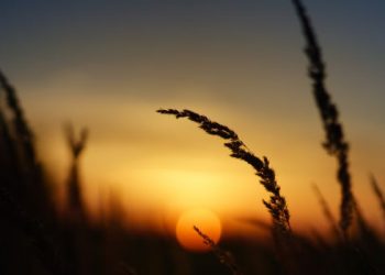 Doa Nabi Adam memohon ampun kepada Allah