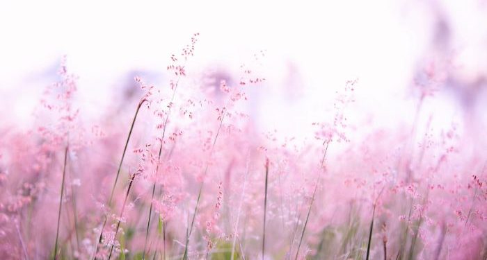 Larangan berlebih-lebihan