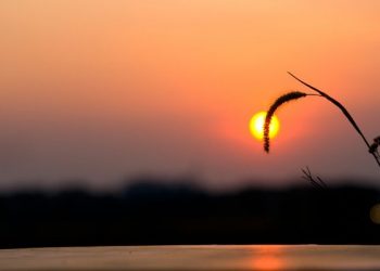 Cara memperbaiki hidup yang berantakan