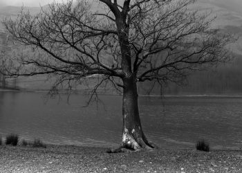 Kemungkaran Merajalela Saat Syariat Disingkirkan