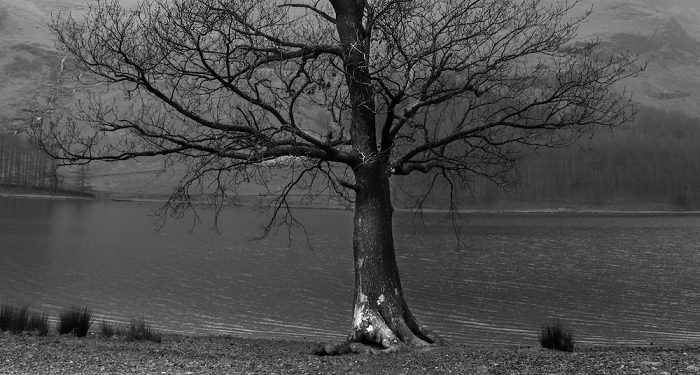 Kemungkaran Merajalela Saat Syariat Disingkirkan