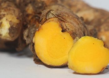 Bayi Meninggal Usai Diberi Jamu, Berikut Ketentuan Pemberian Jamu kepada Bayi