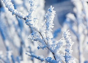 Menua Semakin Bahagia