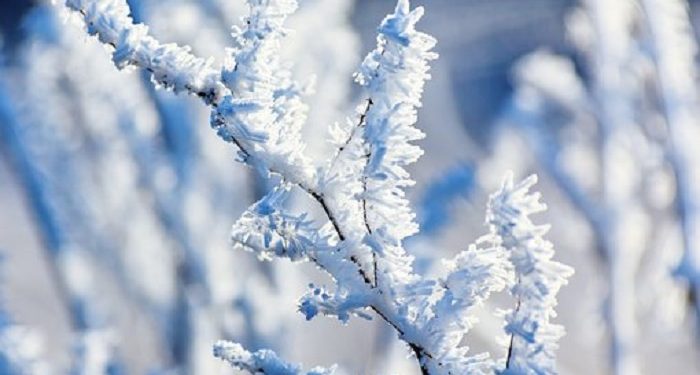 Menua Semakin Bahagia