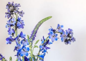 Balasan sepuluh kali lipat