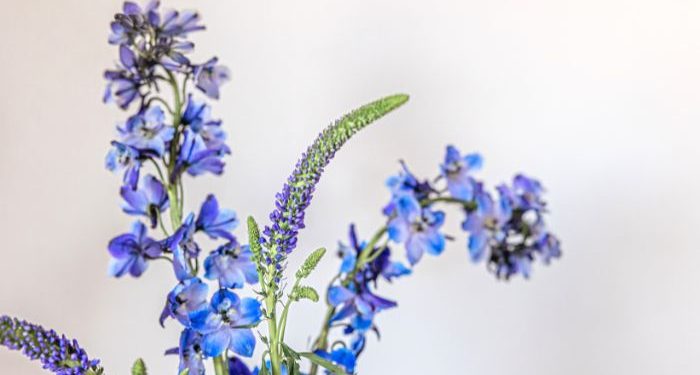 Balasan sepuluh kali lipat