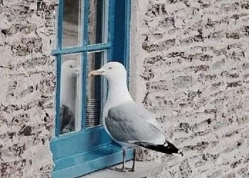 Keuntungan Sekolah di SMU JIBBS