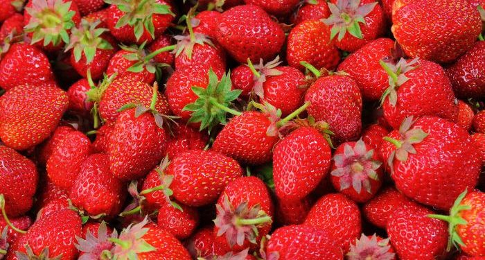 Generasi strawberry