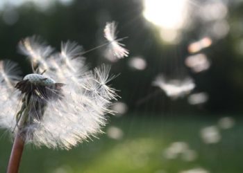 Apa yang Lebih Hebat daripada Angin?