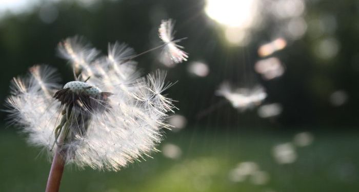 Apa yang Lebih Hebat daripada Angin?