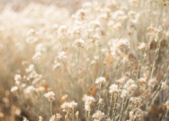 Surat Al-A`raf ayat 182 dan 183