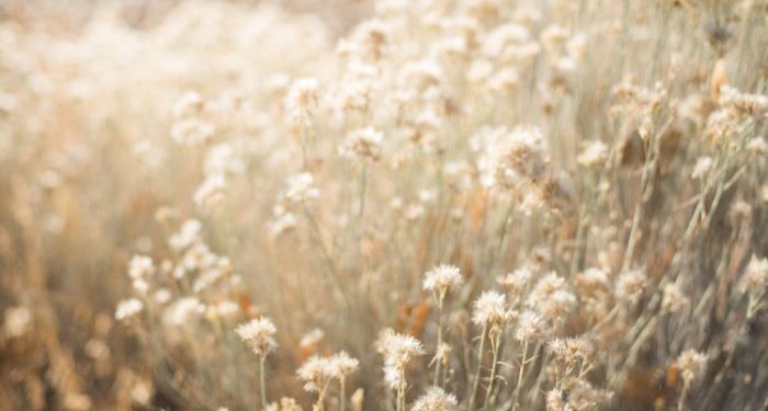 Surat Al-A`raf ayat 182 dan 183