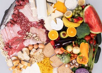 Kandungan yang ada dalam MPASI