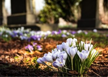 Kisah Umar bin Abdul Aziz Mendengar Nasib Jenazah di Alam Kubur