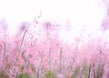 Kisah Wanita yang Menggoda Ulama