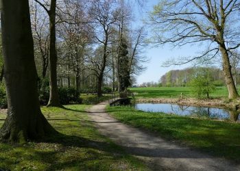 Jangan Putus Asa Dari Rahmat Allah