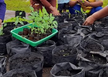 Warga Desa Sokop Manfaatkan Rumah Bibit untuk Tingkatkan Kesejahteraan Ekonomi Keluarga