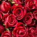 Tubir Kehancuran, Valentine di Saudi