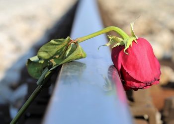 Jenis-Jenis Trauma Berdasarkan Jumlah Korban