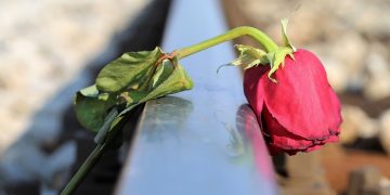 Perempuan Disuruh Diam, Pelaku Dibiarkan Aman: Ini yang Disebut Menjaga Nama Baik?